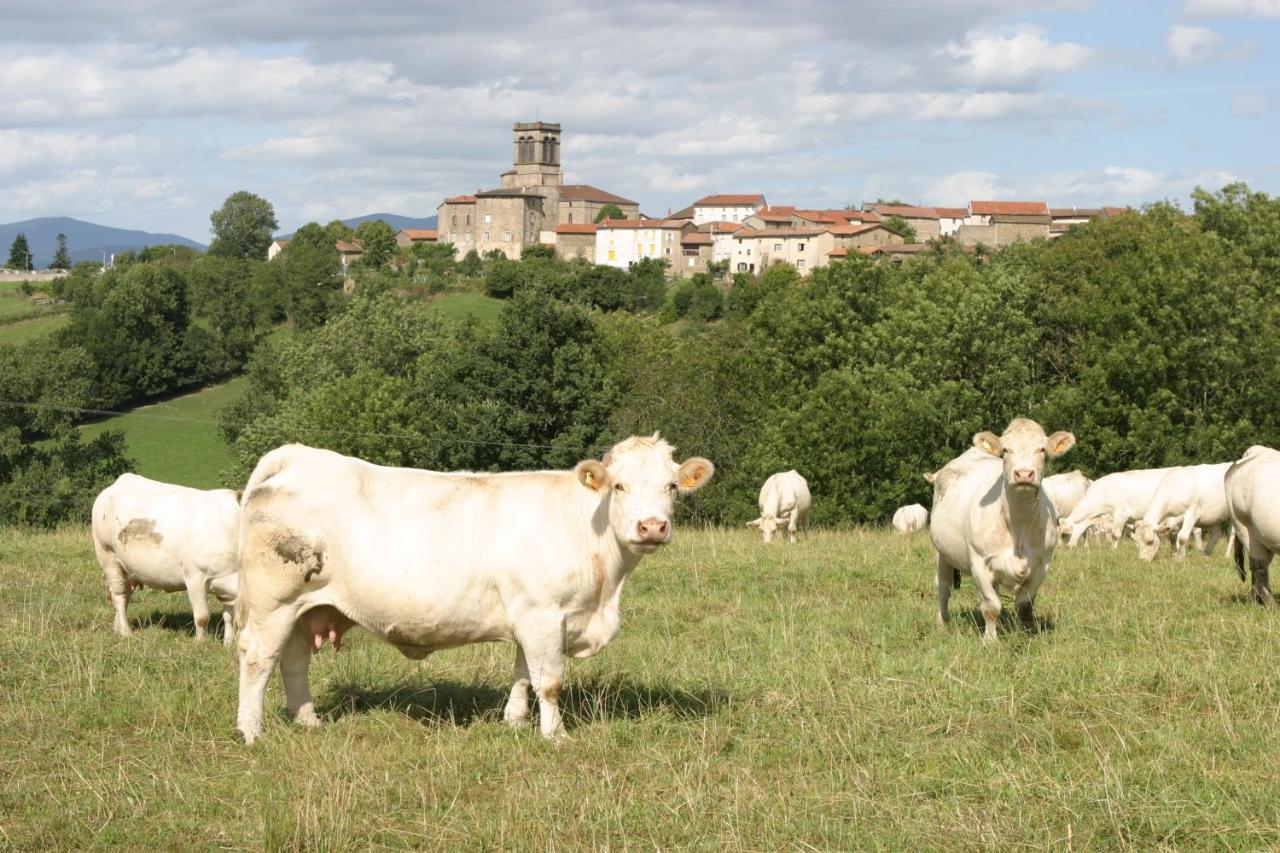 Tours-Sur-Meymont La Paresse En Douce B&B 외부 사진