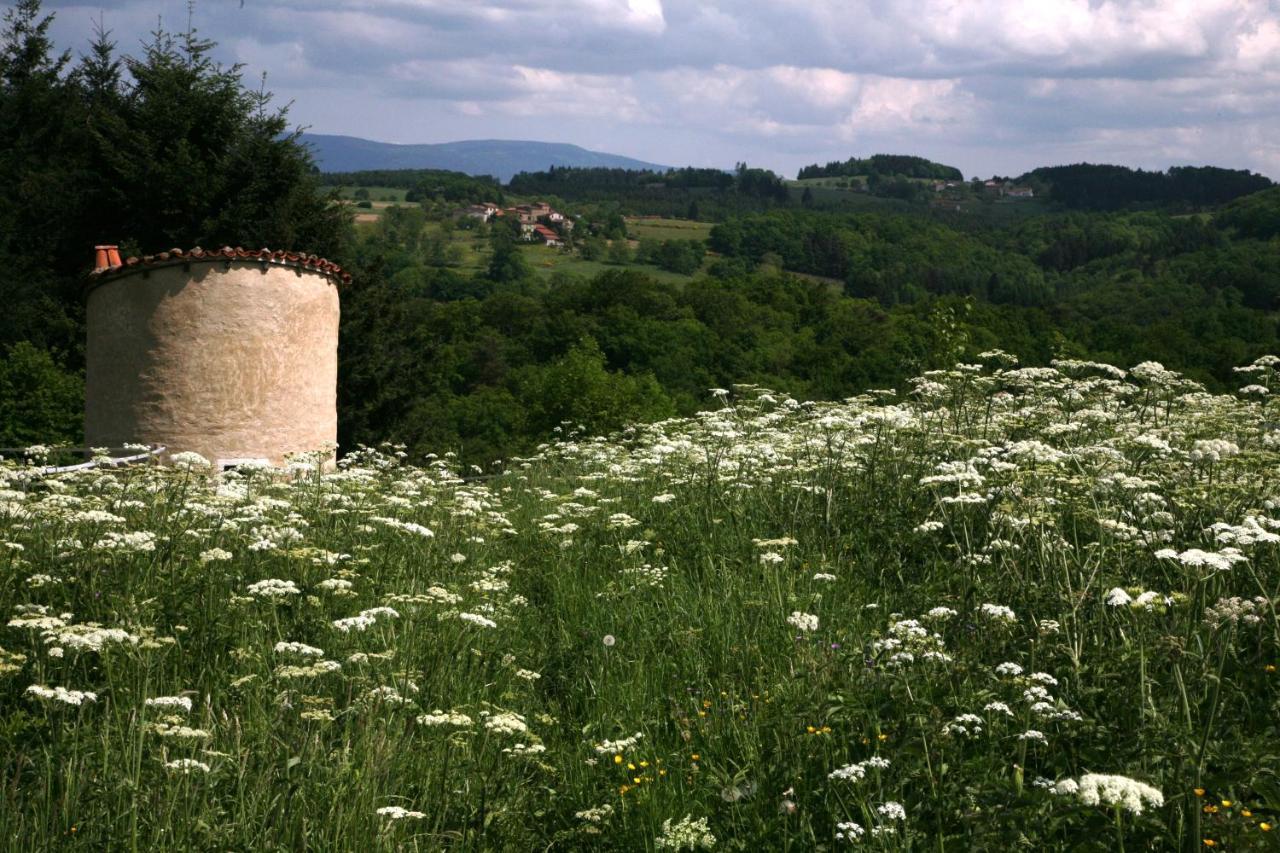 Tours-Sur-Meymont La Paresse En Douce B&B 외부 사진